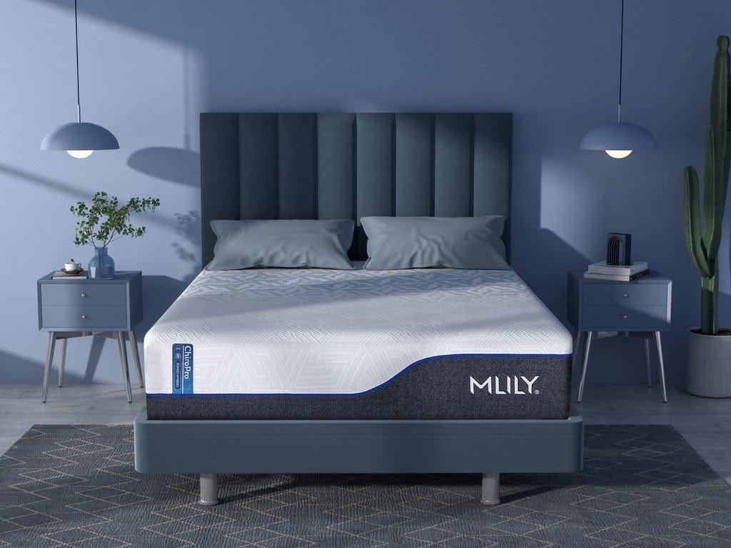 ChiroPro 3.0 13" Plush Hybrid Mattress