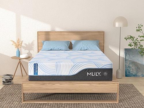 Wellflex Ice 1.0 14" Firm Memory Foam Mattress