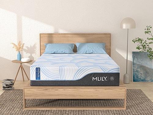 Wellflex Ice 3.0 14" Plush Memory Foam Mattress