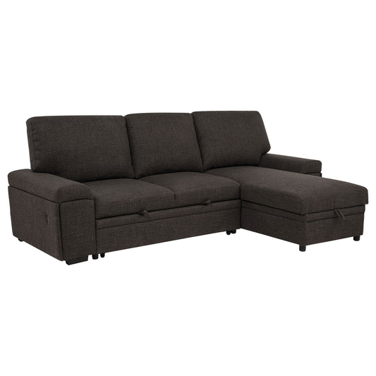 Demko Sleeper Sectional Sofa with Speaker and Storage Chaise Brown