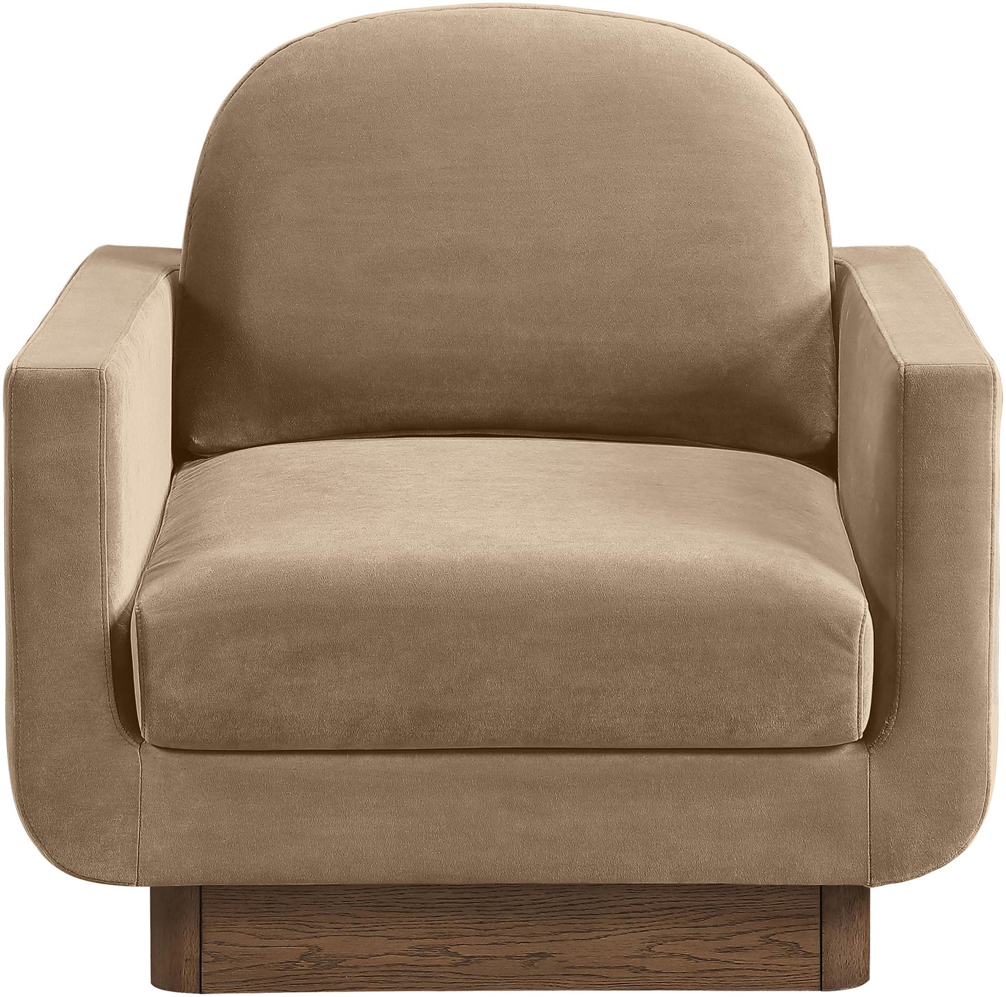 Diviento - Velvet Performance Fabric Upholstered Accent Chair