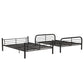 Bristol - Bunk Bed