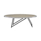 Allis - Coffee Table - Weathered Gray Oak & Metal