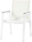 Nizuc - Outdoor Patio Dining Arm Chair With White Frame And Gray Arms (Set of 2)