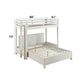 Celerina - Twin Loft Bed - Weathered White