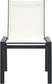 Nizuc - Outdoor Patio Dining Chair With Gray Frame (Set of 2)