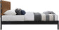 Abigail - Bed
