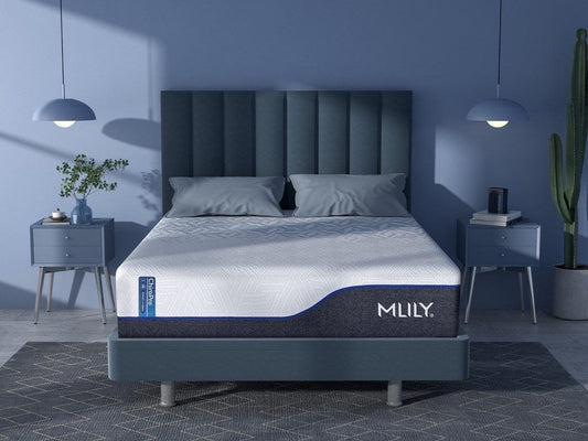 ChiroPro 3.0 13" Plush Hybrid Mattress