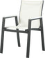 Nizuc - Outdoor Patio Dining Arm Chair With Gray Frame (Set of 2)