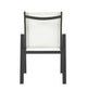 Nizuc - Outdoor Patio Dining Arm Chair With Gray Frame (Set of 2)