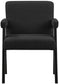 Woodloch - Accent Chair With Black Frame