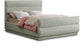 Paxton - Bed