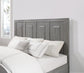 B237 - Bed