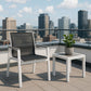 Nizuc - Outdoor Patio Dining Arm Chair With White Frame And Gray Arms (Set of 2)