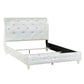 Dorothy - Bed