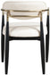 Riccio - Faux Leather Dining Arm Chair (Set of 2) - Black And Gold Frame