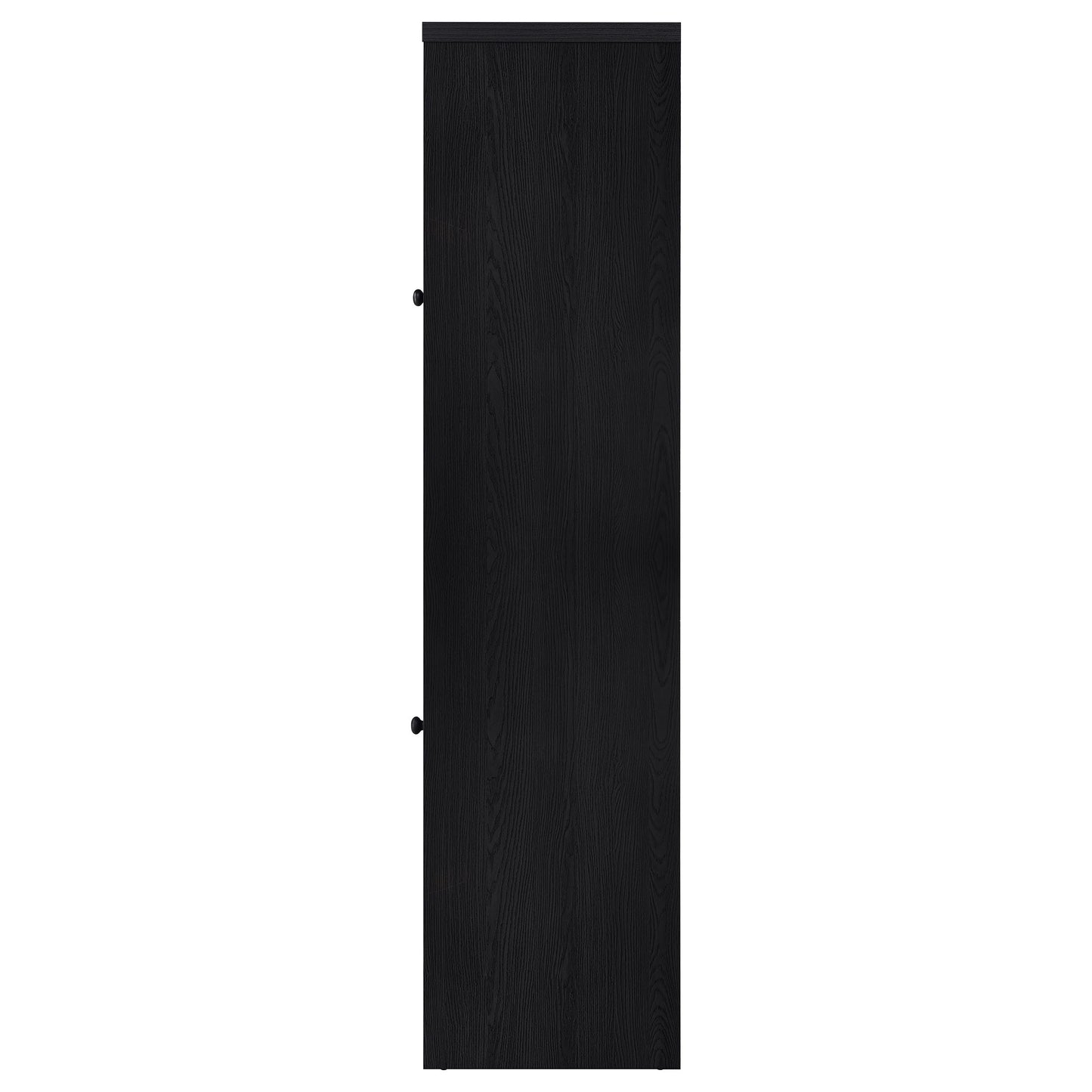 Denison 67-inch 2-door Media Tower Storage Cabinet Black