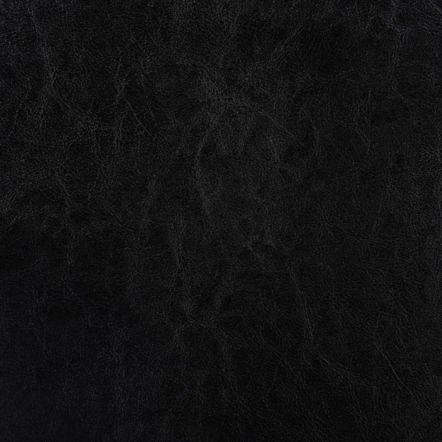 Lavon Wood Dining Side Chair Black and Espresso (Set of 2)