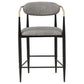 Tina Fabric Upholstered Counter Chair Dark Grey (Set of 2)