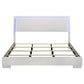 Felicity Wood Eastern King LED Panel Bed White High Gloss