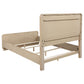 Ladera 56-inch Queen Panel Bed Light Elm
