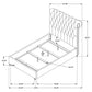 Devon 57-inch Upholstered Full Panel Bed Beige