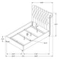 Devon 57-inch Upholstered Queen Panel Bed Beige