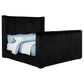 Centergrove Upholstered California King Wingback TV Bed Black