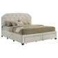Marianna 4-drawer Upholstered Eastern King Storage Bed Cream