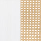 Lanewood Open Cane Webbing Metal Eastern King Bed White