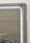 Rainier - 5 Pc Queen Bedroom Set (Panel HB)