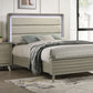 Rainier - 5 Pc Queen Bedroom Set (Upholstered HB)