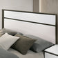 Birsfelden - 4 Pc Queen Bedroom Set