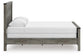 Frandern Queen Panel Bed