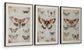 Jossletts Wall Art Set (3/CN)