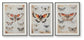 Jossletts Wall Art Set (3/CN)