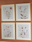 Chettings Wall Art Set (4/CN)