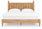 Aleaport King Panel Bed with Mirrored Dresser and Nightstand