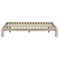 Gislen Twin Easy Assembly Wood Platform Bed White