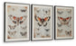 Jossletts Wall Art Set (3/CN)