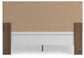 PCB1116/72/97 : PCB1116B6