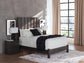 Parlayon Queen Panel Bed, Dresser, Mirror and Nightstand