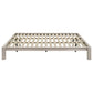 Gislen Eastern King Easy Assembly Wood Platform Bed White
