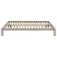Gislen Queen Easy Assembly Wood Platform Bed White