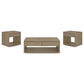 Ingram 3-Piece Coffee and End Table Set with Storage Latte