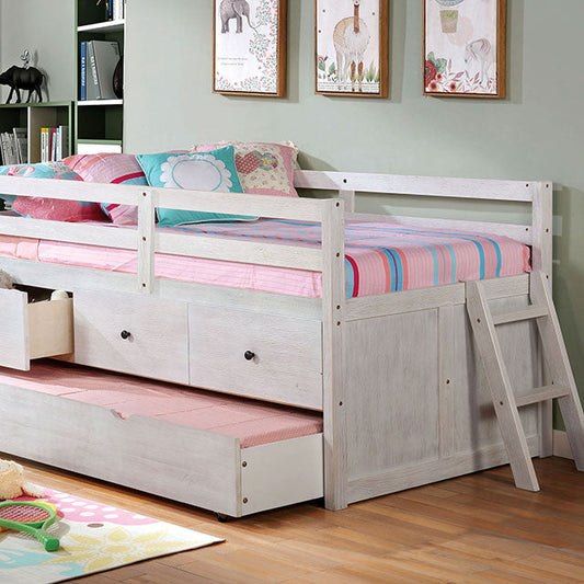 Anisa-Twin Loft Bed